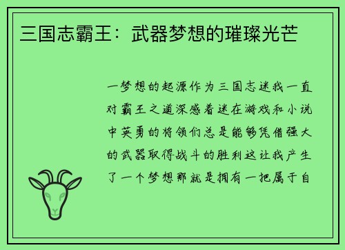 三国志霸王：武器梦想的璀璨光芒